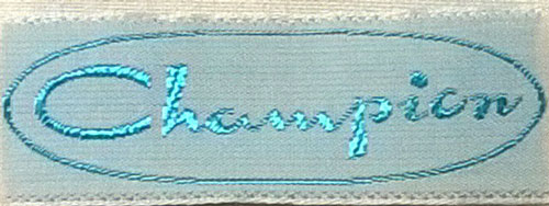 nášivka 6x2cm  N6